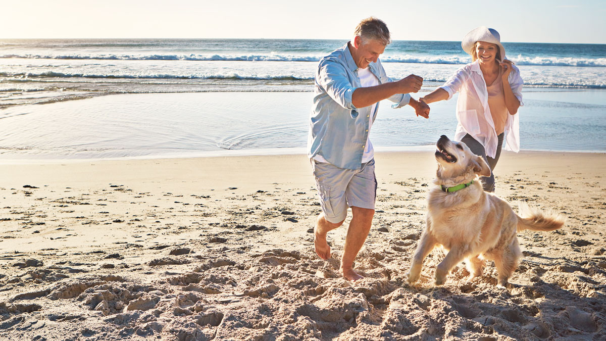 Couple Playing With Dog On Beach